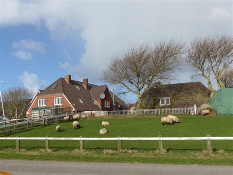 HUS HALLIGBLICK: Bewertungen & Fotos (Hallig .